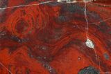 Polished Stromatolite (Collenia) - Minnesota #155580-1